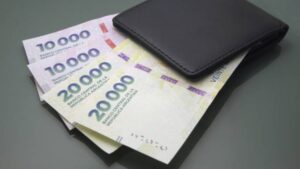 Atención jubilados: cómo leer el recibo de ANSES y verificar que te pagaron bien el bono